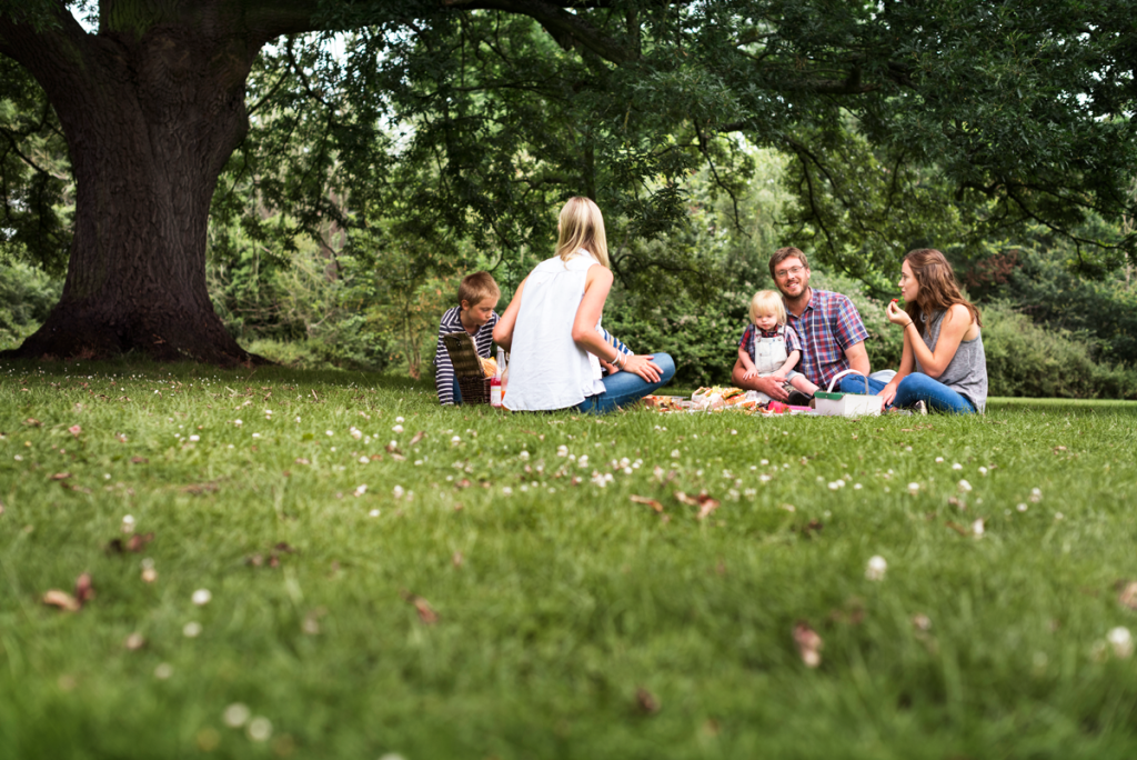 Picknick in een park