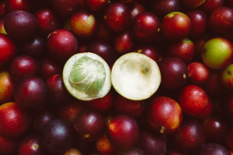Natuurhuis Royal Green Camu camu superfoods