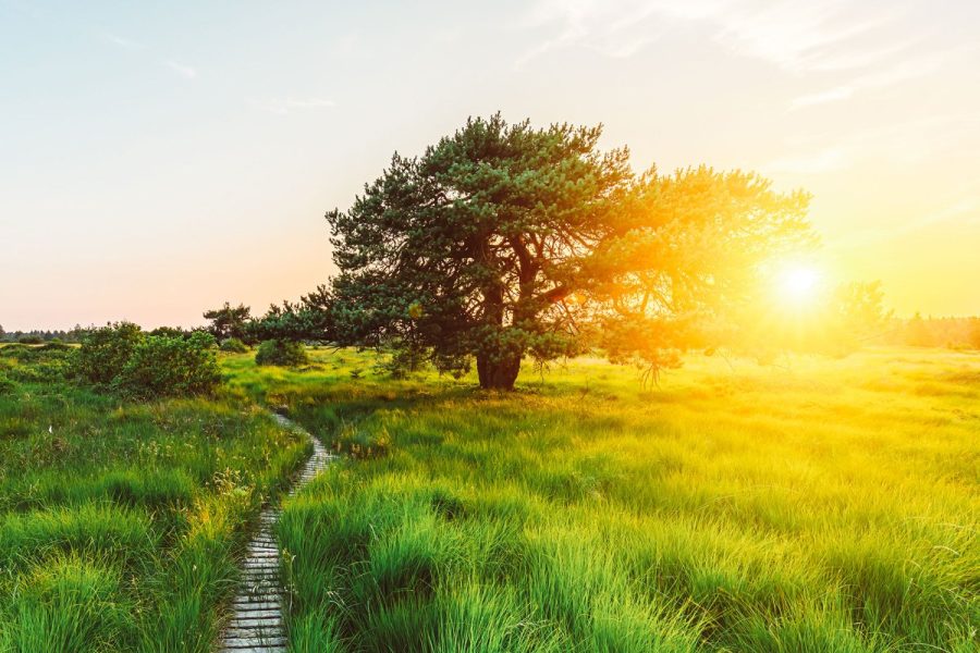 De Natuurhuis bucketlist voor de zomervakantie